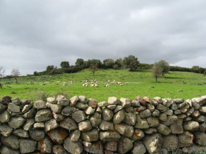 campagna1