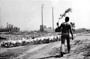 pastore di ottana (foto di claudio gualà)