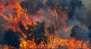incendio_forestal