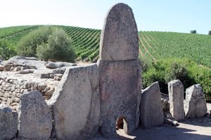 sardegna-vigne