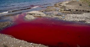 acqua-mare-rosso-ercolano-600x317
