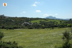 gallura