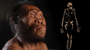 homo-naledi-discovery-vin