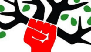 ecosocialismo3